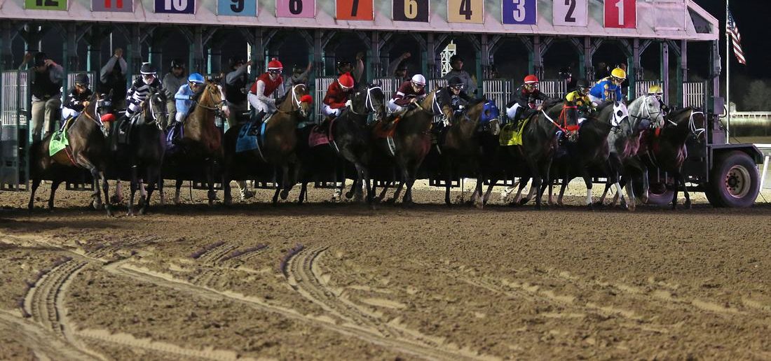 The starting gate opens at night at Remington Park
