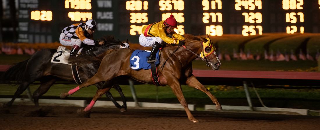 Quarter Horses racing at night at Los Alamitos