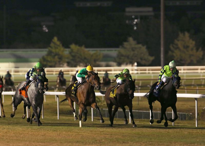 Horses in the stretch at Remington Park